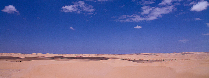 Desierto